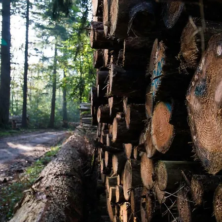Boshuis Krekeltje Vakantiehuis *
