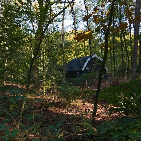 Boshuis Krekeltje