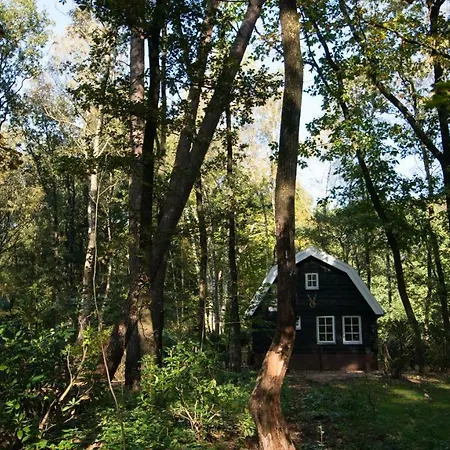 Boshuis Krekeltje Vakantiehuis