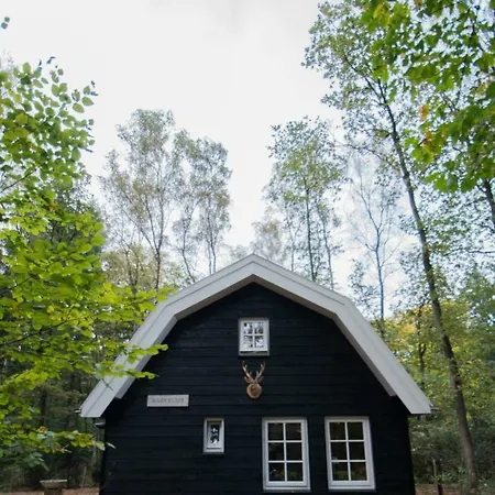 Vakantiehuis Boshuis Krekeltje Putten