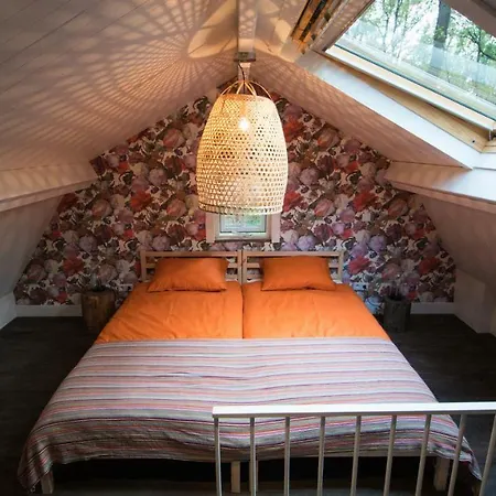 Boshuis Krekeltje Vakantiehuis