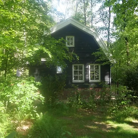 Vakantiehuis Boshuis Krekeltje Putten